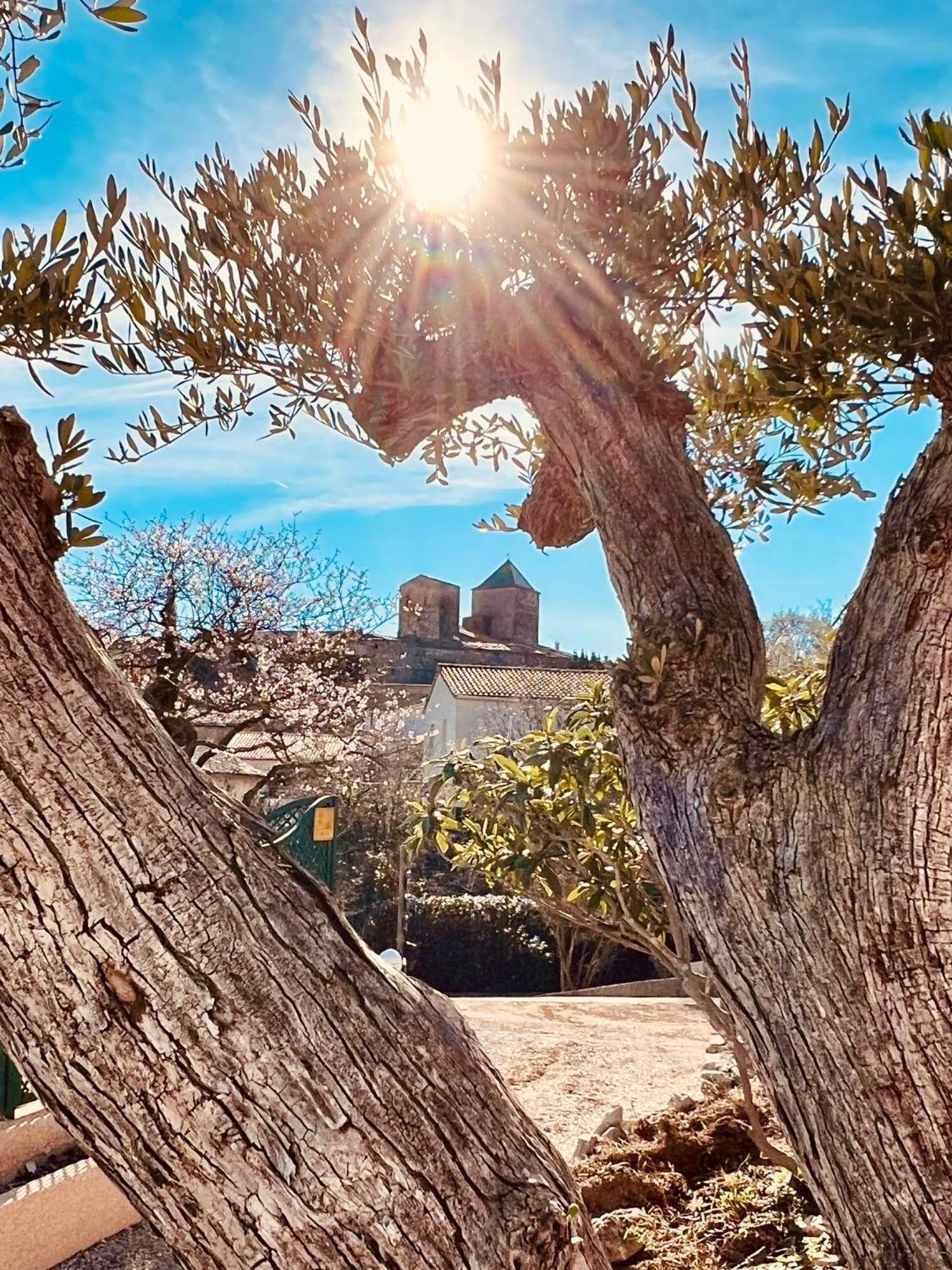 Saint-Jean-de-Fos Melisande Au Pays Des Orjouliers المظهر الخارجي الصورة