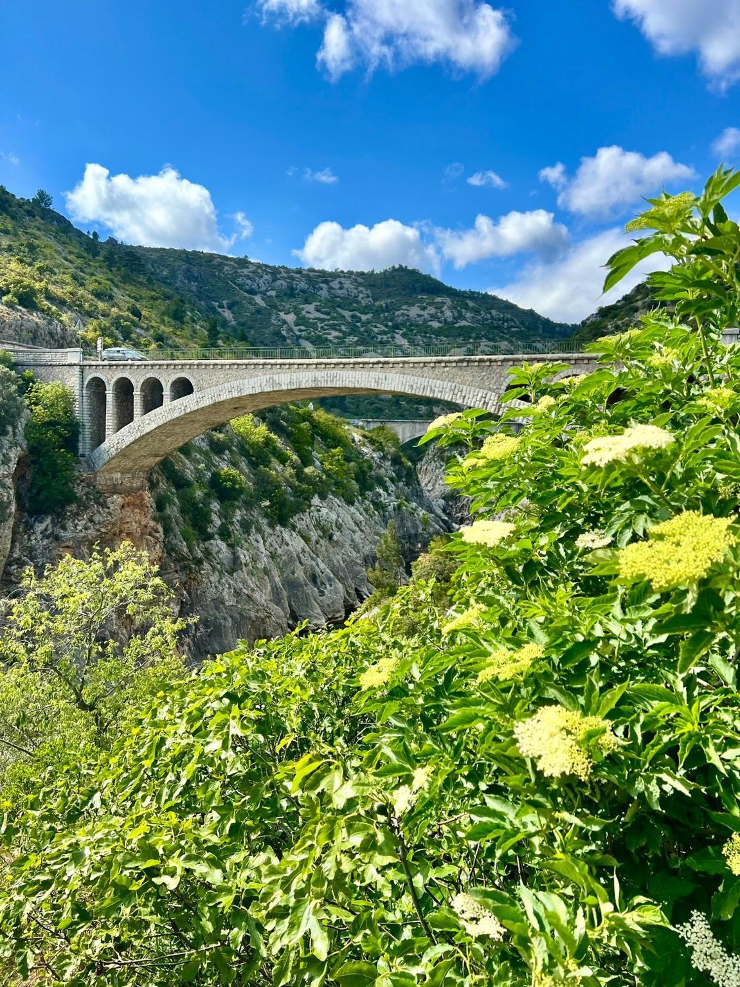 Saint-Jean-de-Fos Melisande Au Pays Des Orjouliers المظهر الخارجي الصورة